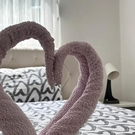 Apartment Starlux